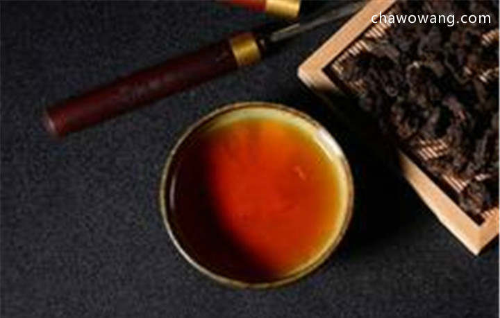 谁才是六堡茶真正的根源？