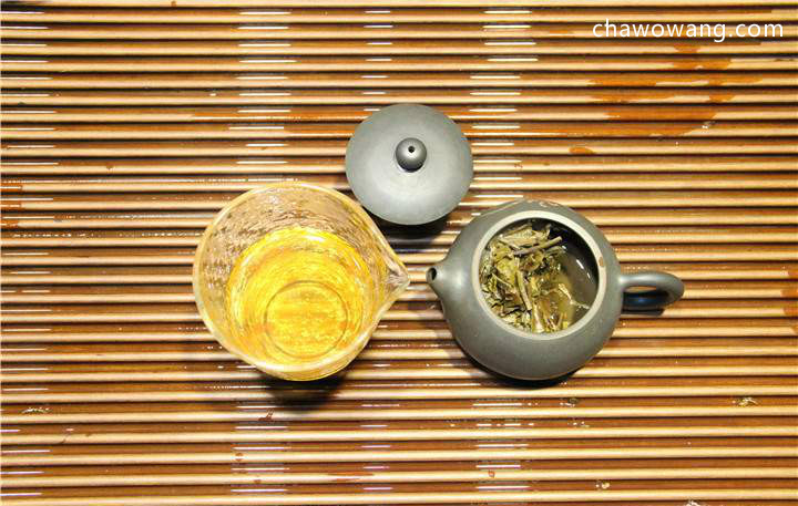 单枞茶茶树品种之蜜兰香型介绍