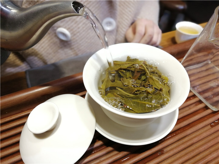 北京茶博会丨黄茶产量增幅位居前列