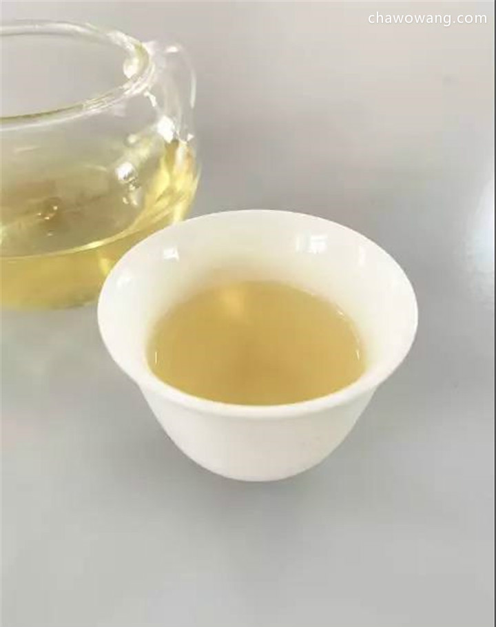 一杯单枞茶，是最美的邂逅