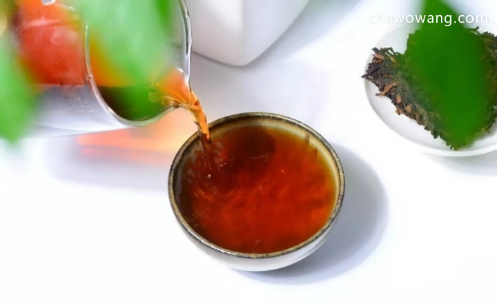 黑茶四宝：冠突散囊菌、硒元素、锗元素、茶多糖