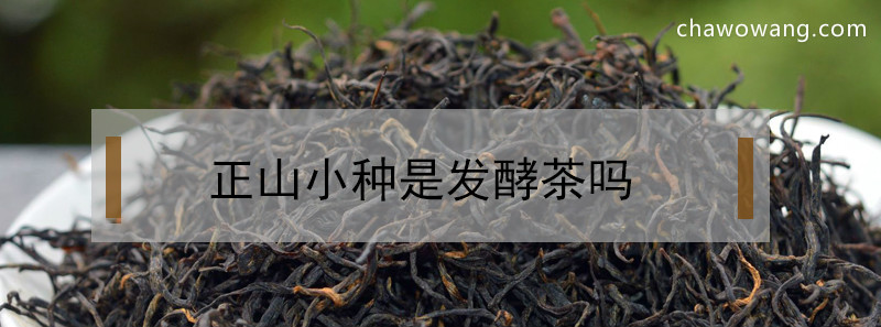 正山小种是发酵茶吗