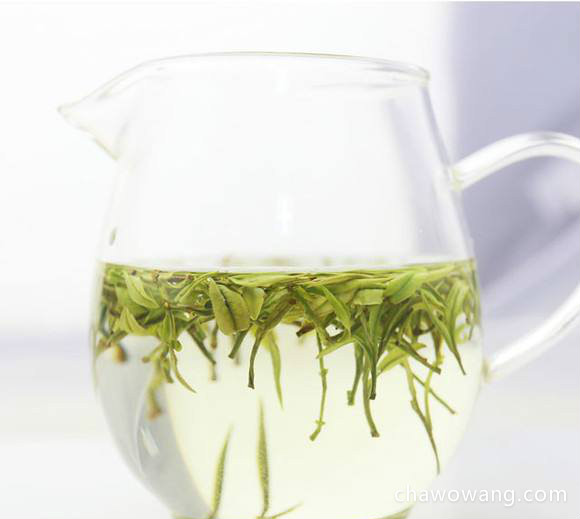 靖安白茶是什么茶 靖安白茶的功效与作用