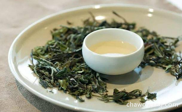 白茶为什么叫白茶 白茶的特点是什么