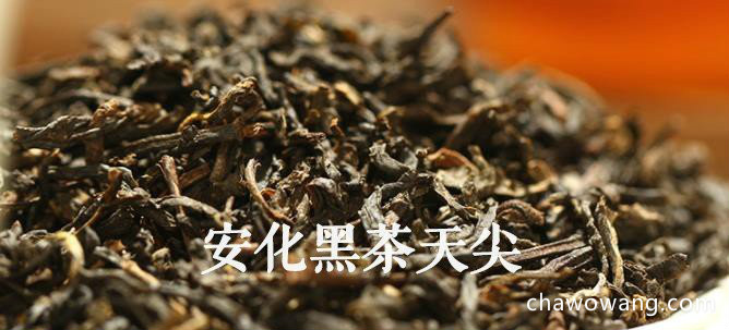 安化黑茶有哪些种类，安化黑茶品种名称介绍