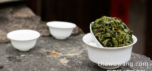 铁观音春茶和秋茶哪个好喝，铁观音春夏秋茶的区别
