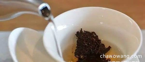 熟普洱茶的冲泡方法