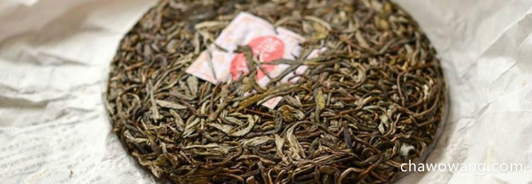 普洱茶属于什么茶种