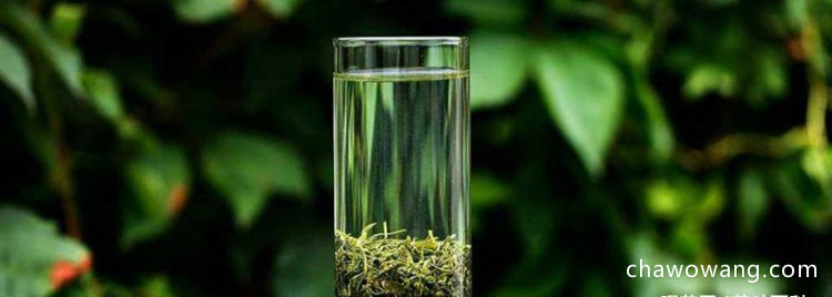 崂山绿茶的功效与作用禁忌