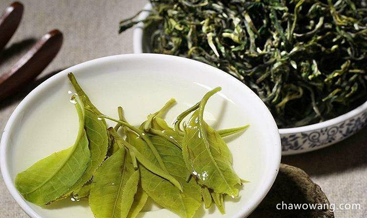 崂山绿茶的功效与作用禁忌