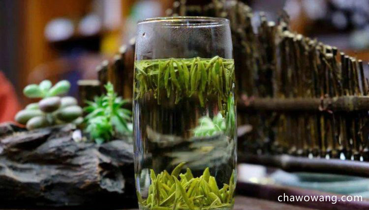 汉中绿茶的功效与作用