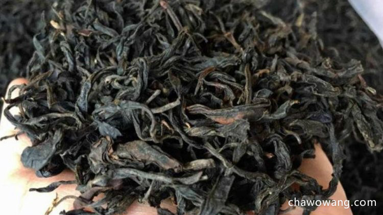 野茶属于红茶还是绿茶