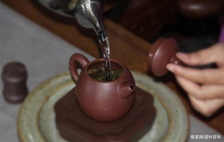 普洱茶用多少度的水合适