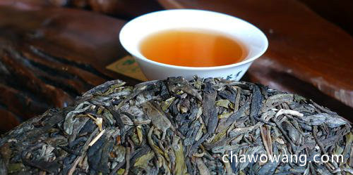 普洱茶属于哪一类茶种 普洱茶到底是什么茶呢