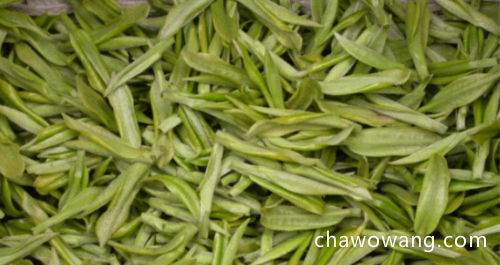 安吉白茶是什么地方生产的 详细介绍安吉白茶的产地及起源