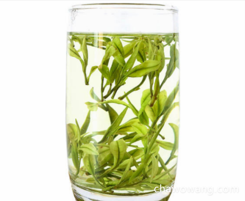 安吉白茶多少钱一斤2020 最贵的安吉白茶最新市场价格详情