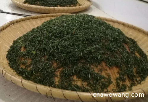 信阳毛尖是红茶还是绿茶 真相：信阳毛尖到底属于什么茶