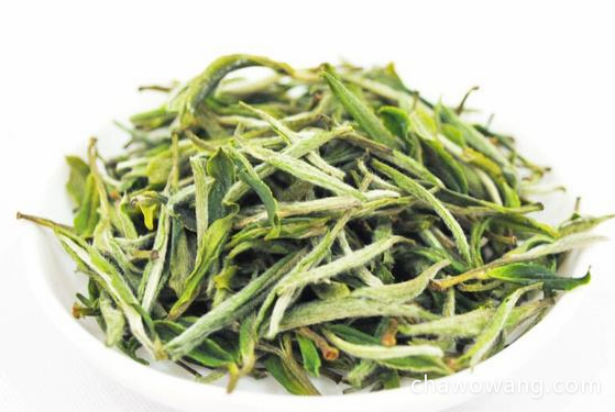 安吉白茶的功效 安吉白茶有美容润肤和减肥的作用吗