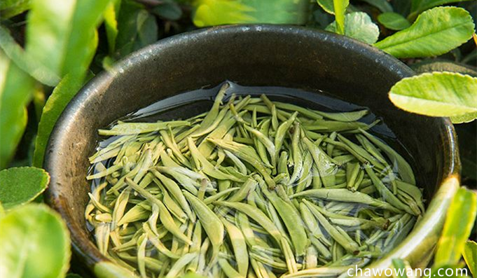安吉白茶的营养成分 安吉白茶的功效 安吉白茶有美白养颜的作用