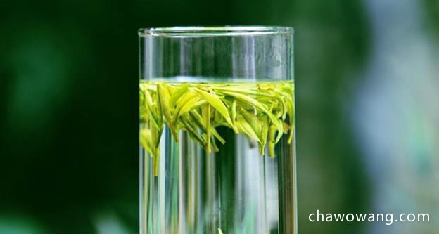 安吉白茶是什么茶？（绿茶类？）