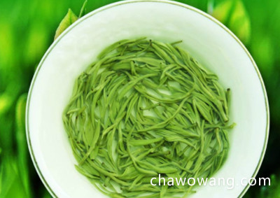 碧螺春几度水泡