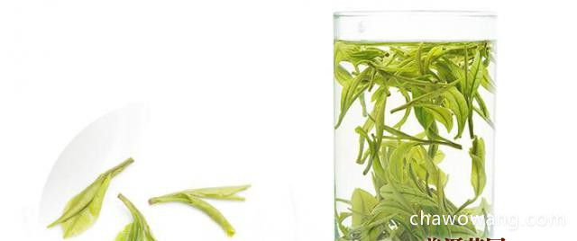安吉白茶优质的多少钱一斤