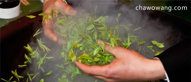 霍山黄芽茶的制作过程，分采摘、杀青等工序！