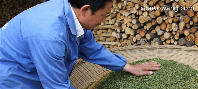 霍山黄芽算是好茶吗？产地、品质、功效都很好！