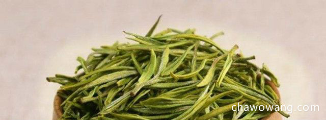 浙江的安吉白茶属于什么茶类