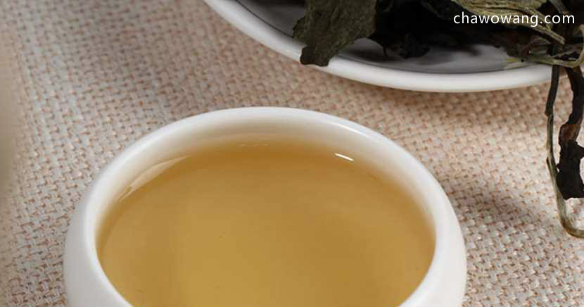 白牡丹茶的保质期 白牡丹茶什么时候喝