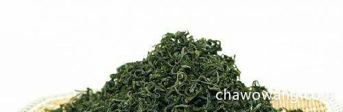 崂山绿茶有副作用吗 崂山绿茶的禁忌有哪些