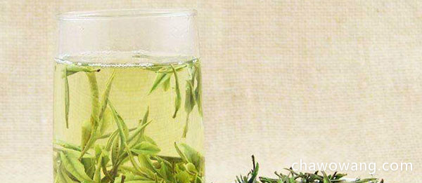 安吉白茶是绿茶的一种-茶知识扫盲