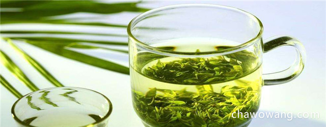 绿茶与铁观音哪个减肥