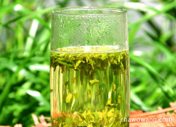 饮用竹叶青茶的功效与作用