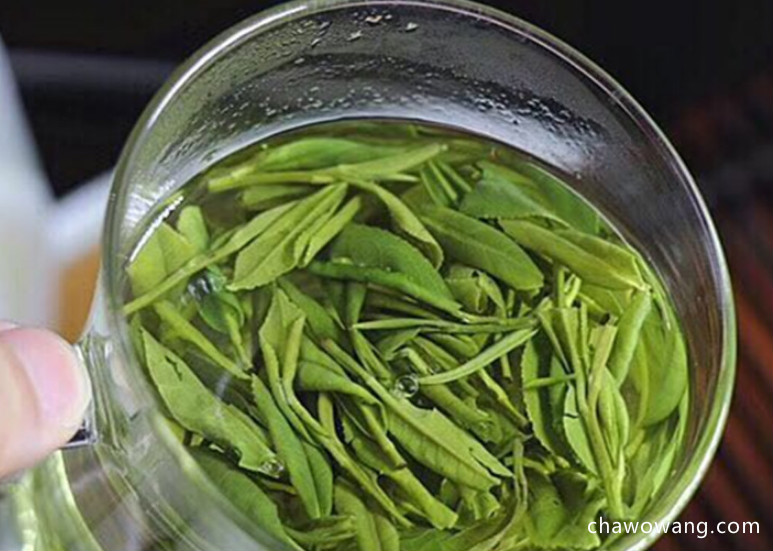 喝绿茶黄山毛峰功效有哪些?