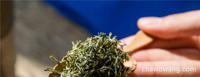崂山绿茶种类，分为卷曲形绿茶和扁形绿茶！