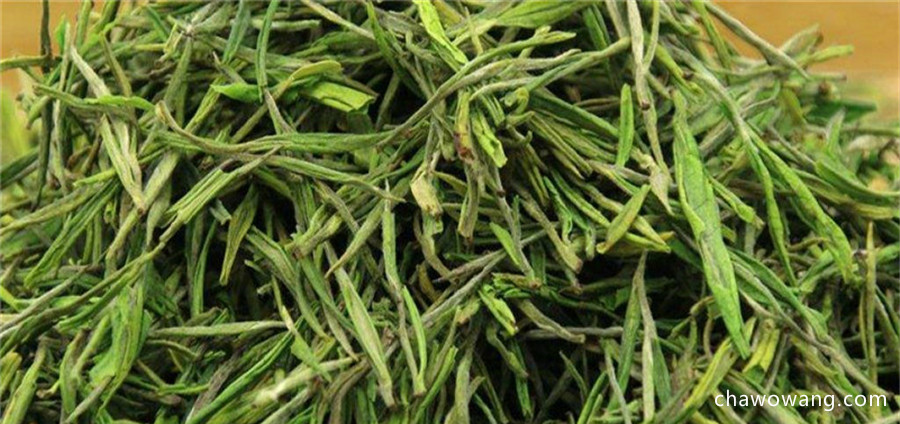安吉白茶也是绿茶