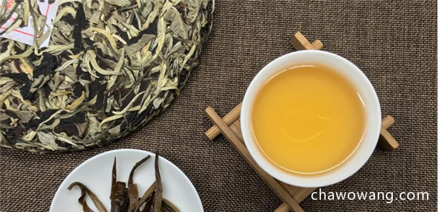 普洱生茶和安溪铁观音都是绿茶吗
