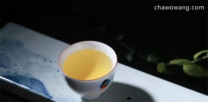 霍山黄芽----正在见证中国一大茶类的没落