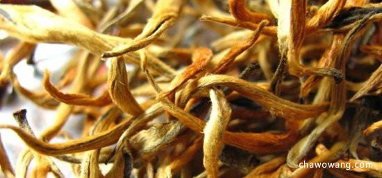你知道千年宁红茶有什么功效作用吗？