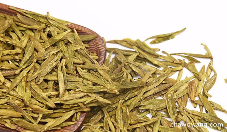 霍山黄芽茶是什么茶叶类型