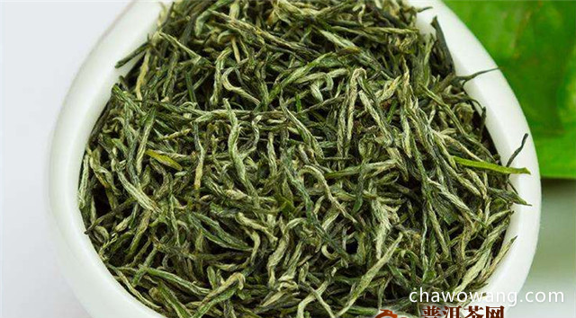 绿茶和碧螺春的品种对比
