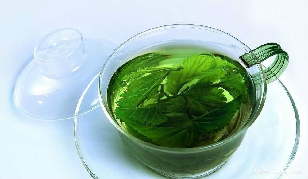 桑叶菊花茶的喝法桑叶枸杞茶的喝法
