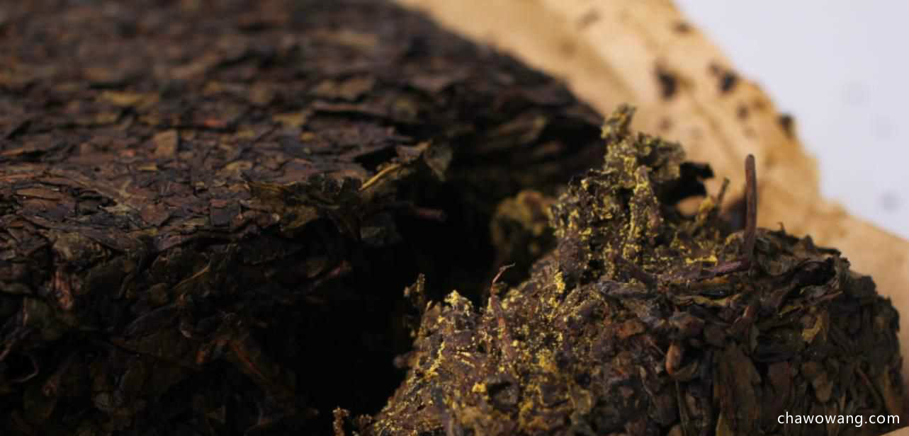 湖南安化黑茶的功效有哪些