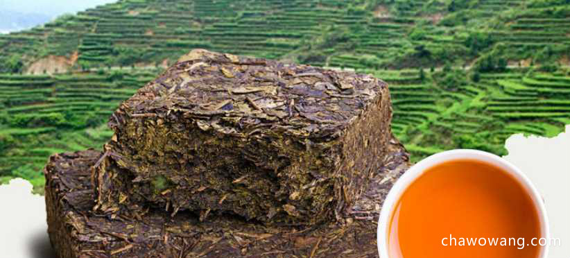 安化黑茶的价格 安化黑茶的选购技巧