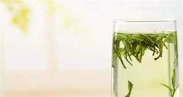 安吉白茶和竹叶青，两款茶都很适合夏天！