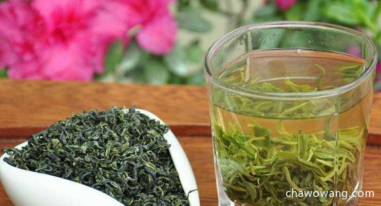 日照绿茶的营养成分 日照绿茶的功效