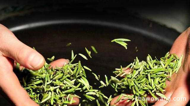 竹叶青茶叶制作工艺，好茶是这样“炼”成的！
