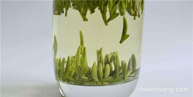 竹叶青茶是凉性的吗？属于凉而不寒养生绿茶