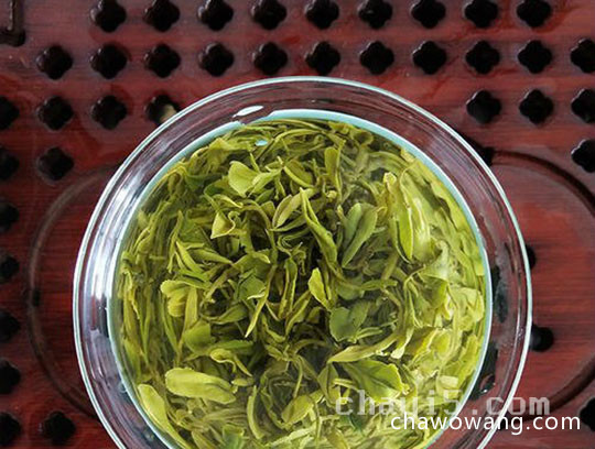 日照绿茶的功效与作用 日照绿茶的禁忌事项